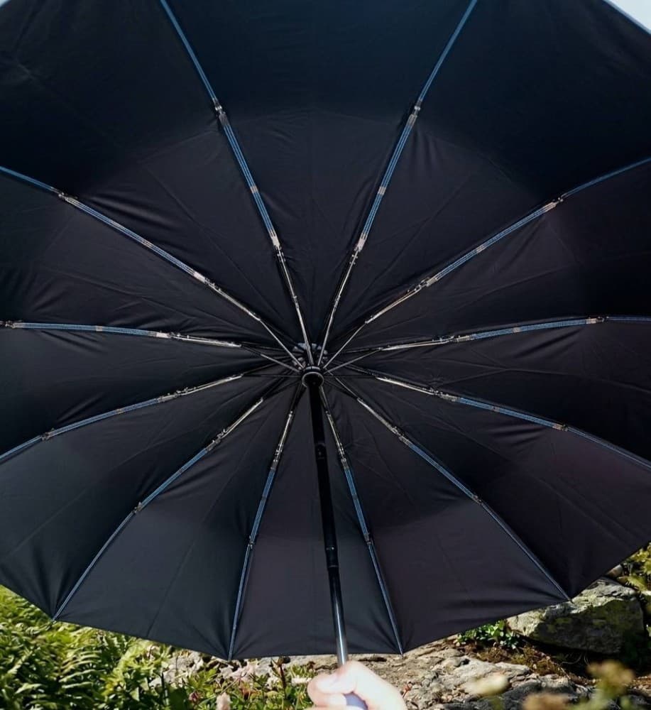 BMW 12 Ribs Motorsport Premium Automatic Umbrella image 6